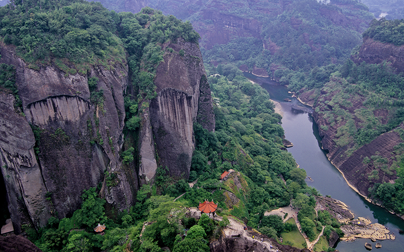 vol.29　半発酵茶・発酵茶の歴史